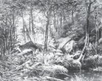 Трущоба (Вид на острове Валааме).1860
